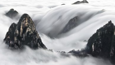 sea clouds of yellow mountains