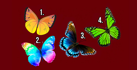 secrets soul choosing butterfly 1