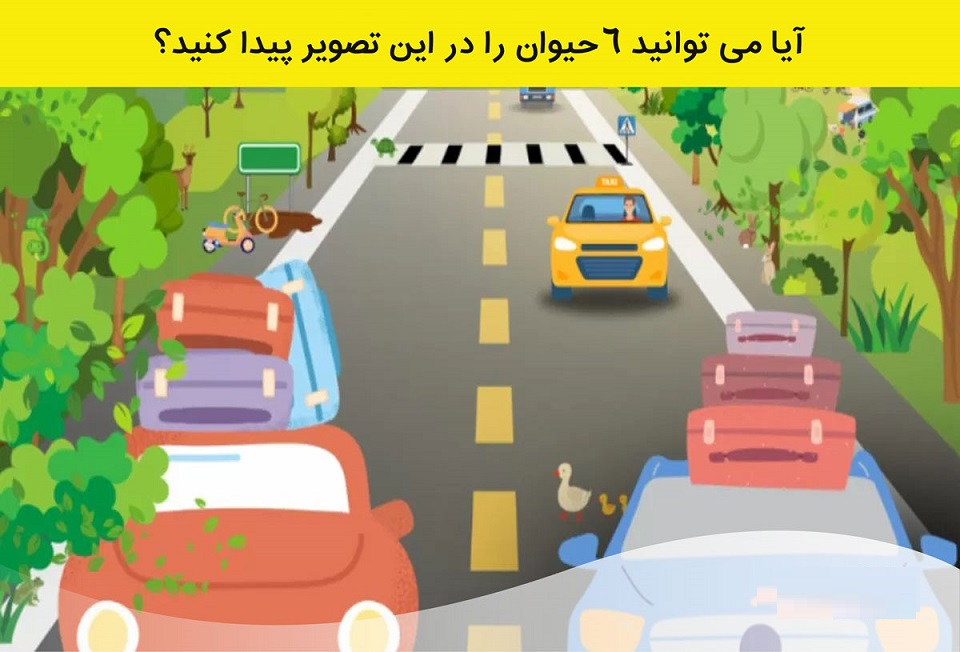 آزمون یافتن حیوانات