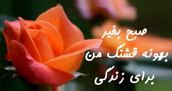 عکس صبح بخیر عاشقانه 112