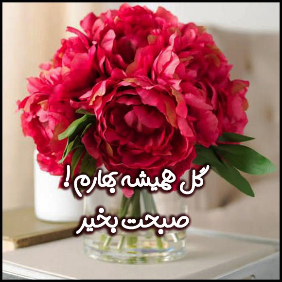 عکس صبح بخیر عاشقانه 23