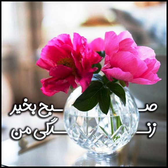 عکس صبح بخیر عاشقانه 51