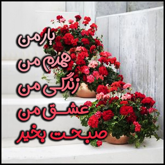 عکس صبح بخیر عاشقانه 58