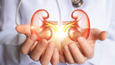 kidneys in dr hands 2