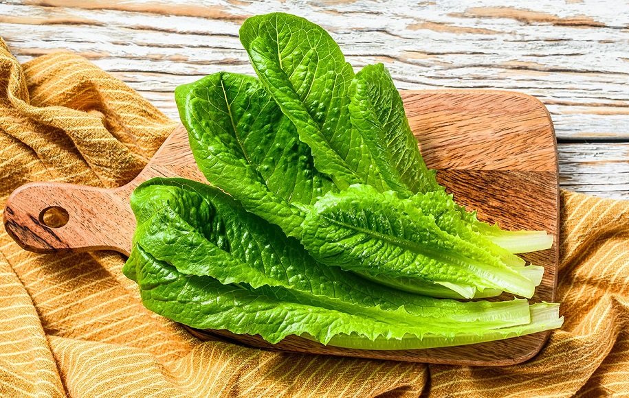 03 health benefits of lettuce