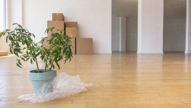 potted plant on bubble wrap with cardboard boxes in empty apartment